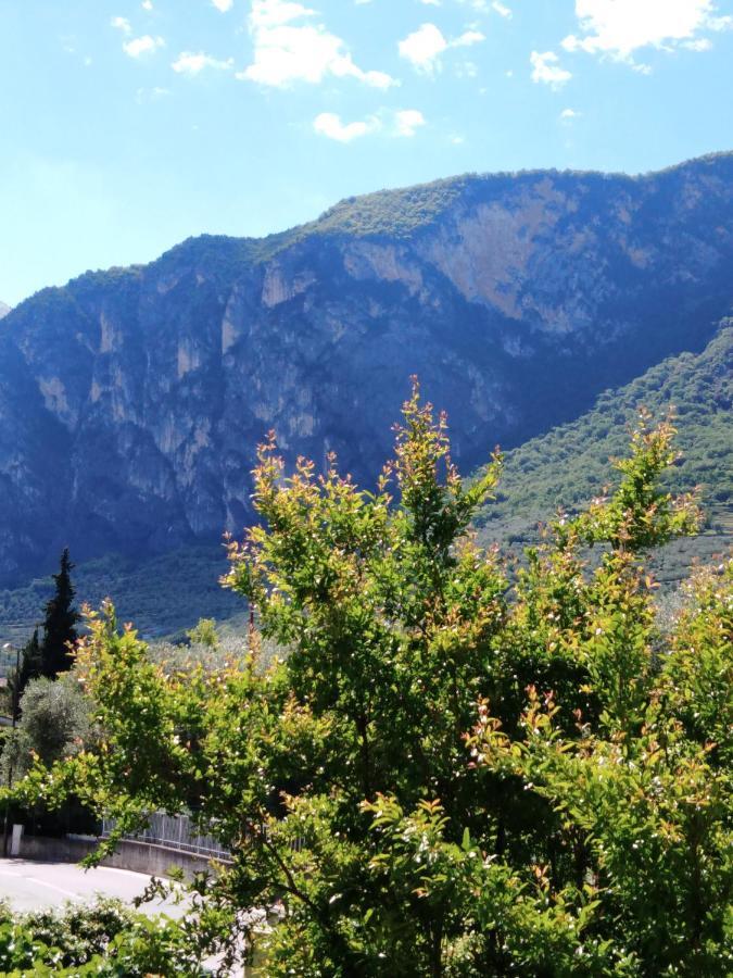 Casa Akira Apartamento Riva del Garda Exterior foto